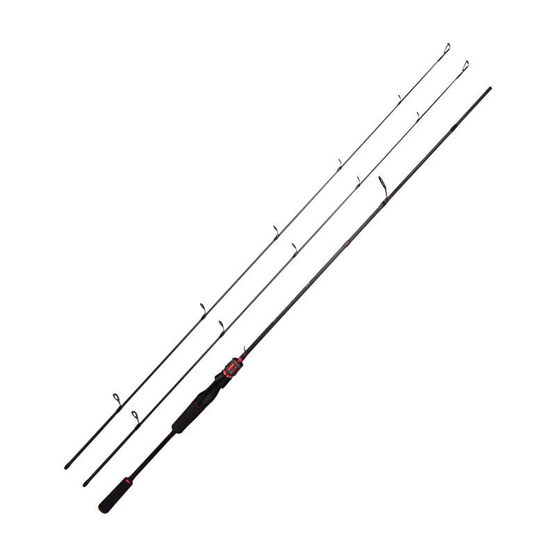 Straight Handle Carbon Double Pole