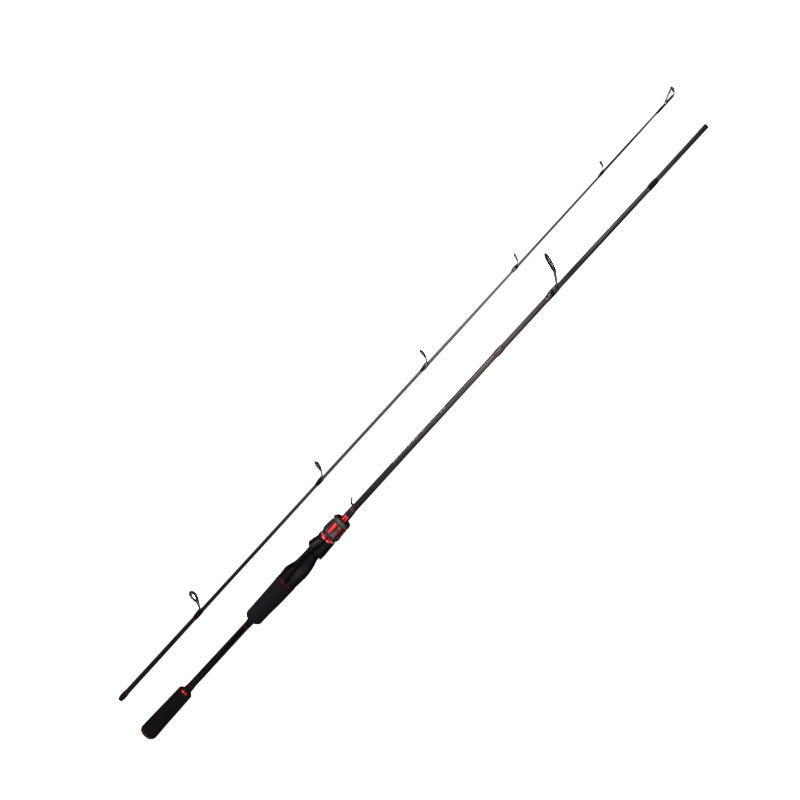 Straight Handle Carbon Double Pole